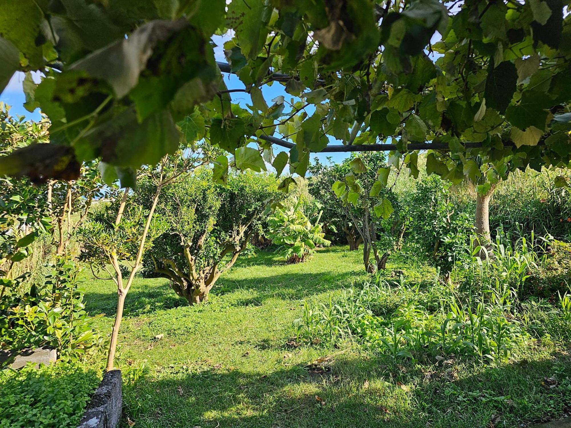 Casa Anjos Holiday Cottages Cedros Exterior foto