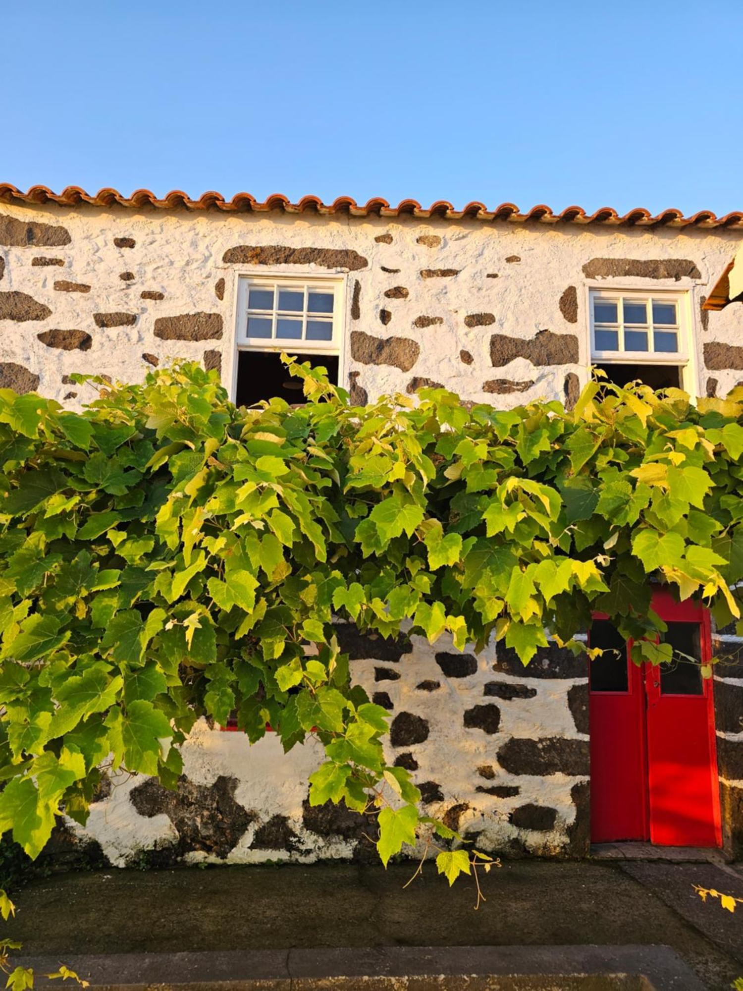 Casa Anjos Holiday Cottages Cedros Exterior foto