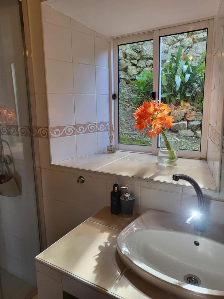 Casa Anjos Holiday Cottages Cedros Exterior foto